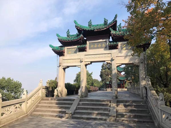 逃稅罪的審查應該如何進行？徐匯刑事律師以案說法帶您了解