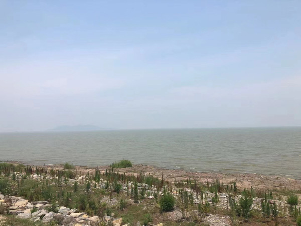 如何認(rèn)定參加黑社會(huì)性質(zhì)組織罪中的參加行為？上海刑事犯罪律師來回答