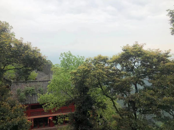 寶山刑事律師為您講解關(guān)于貸款詐騙罪的相關(guān)知識