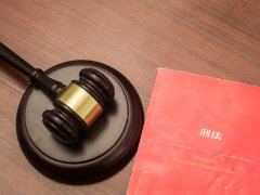 上海靜安職務(wù)侵占罪對(duì)股東身份要求律師咨詢