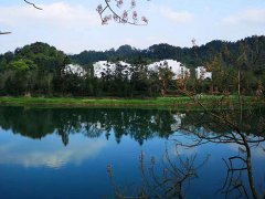 法律規(guī)定盜竊一萬元判多久