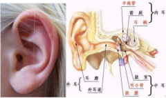 鼓膜穿孔是否構(gòu)成輕傷？
