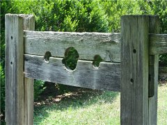 上海刑事專(zhuān)業(yè)律師談莊稼被糟蹋獵殺野豬被判刑