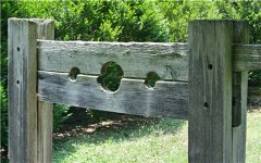 老人被死亡轉(zhuǎn)移時還活著福利院是什么責(zé)任